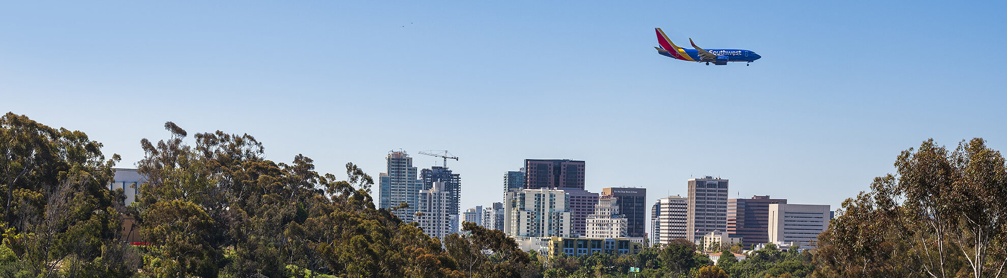 San Francesco d'Assisi Palermo: A History of Destruction & Revival